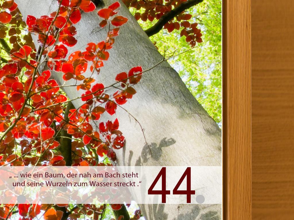 Das Felaria Samnaun Chambre photo